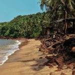 Drishti-Private cruises in goa